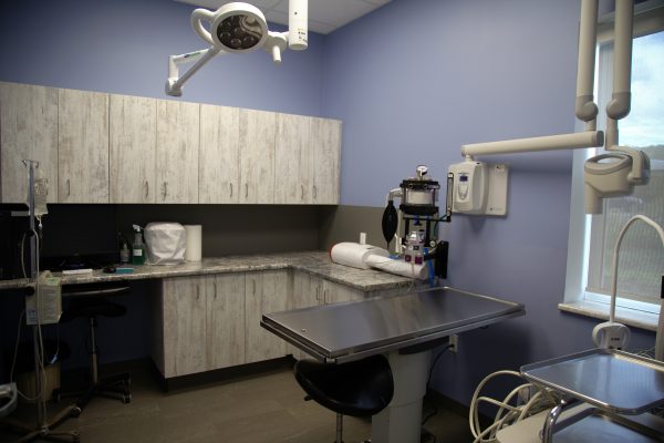 Dental Room